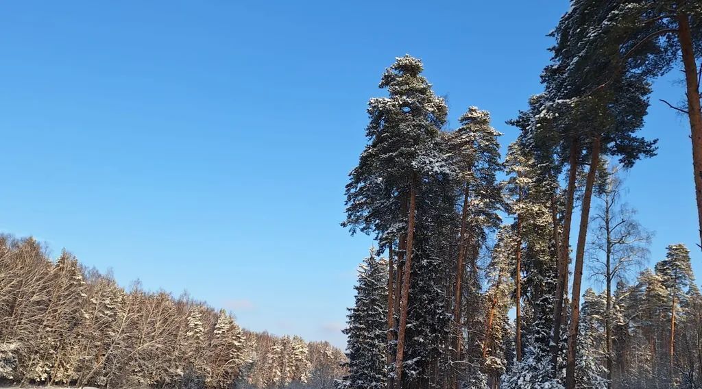 дом г Пушкино Заветы Ильича ул. Осипенко, 30 фото 33