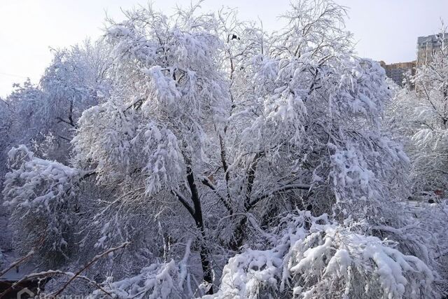 Ростов-на-Дону городской округ фото