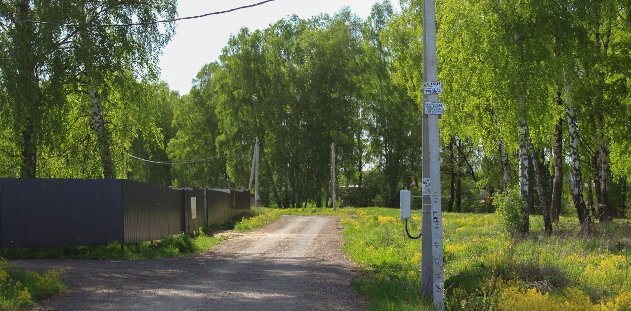 земля г Домодедово д Тургенево фото 4