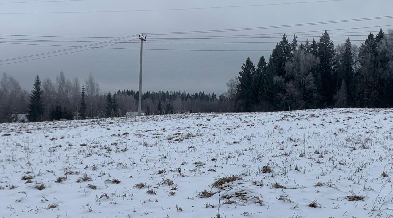 офис городской округ Истра д Александрово фото 2