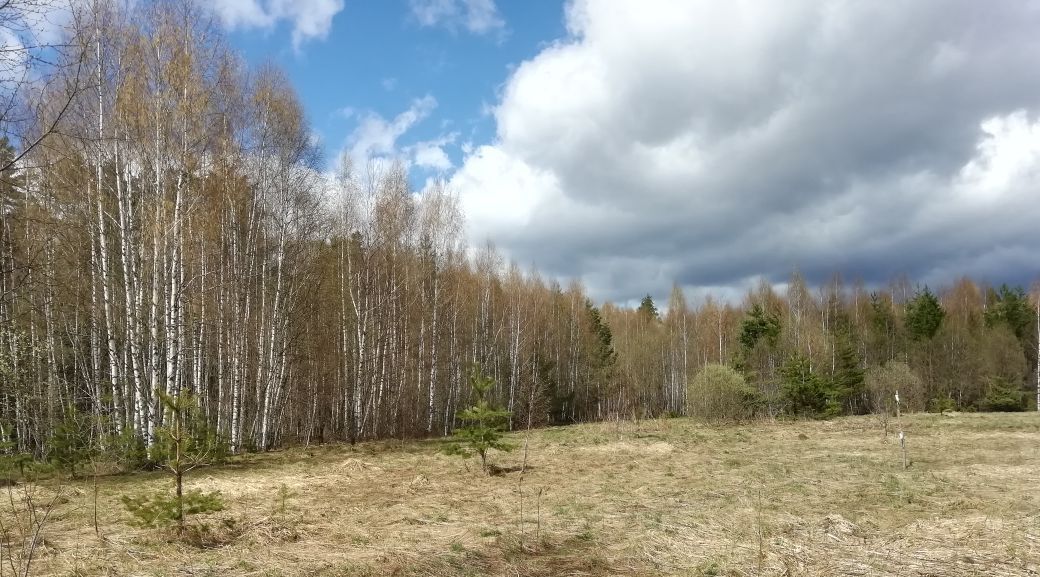 земля р-н Киржачский д Бардово ул Кедровая Горкинское муниципальное образование фото 2