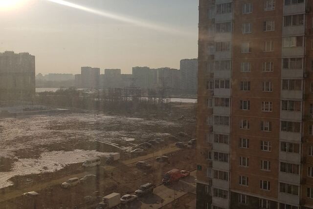 ул Дружбы 5/1 Люберцы городской округ фото