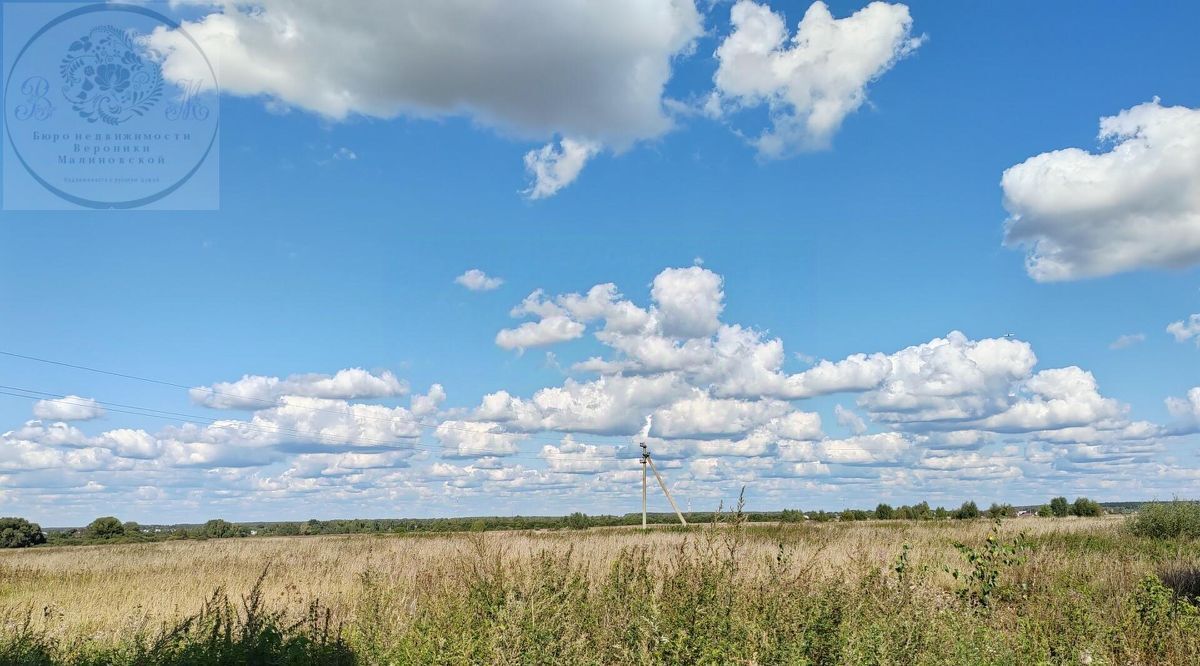 земля городской округ Раменский с Ульянино фото 10