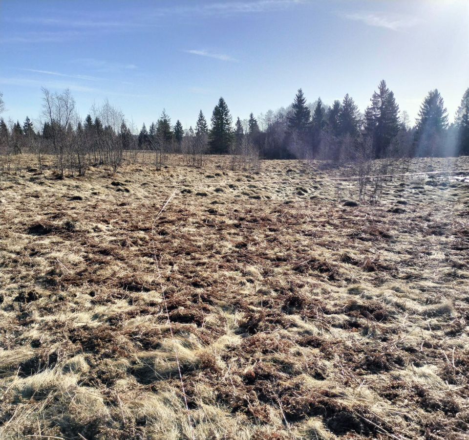 земля р-н Окуловский г Окуловка Окуловское городское поселение фото 4