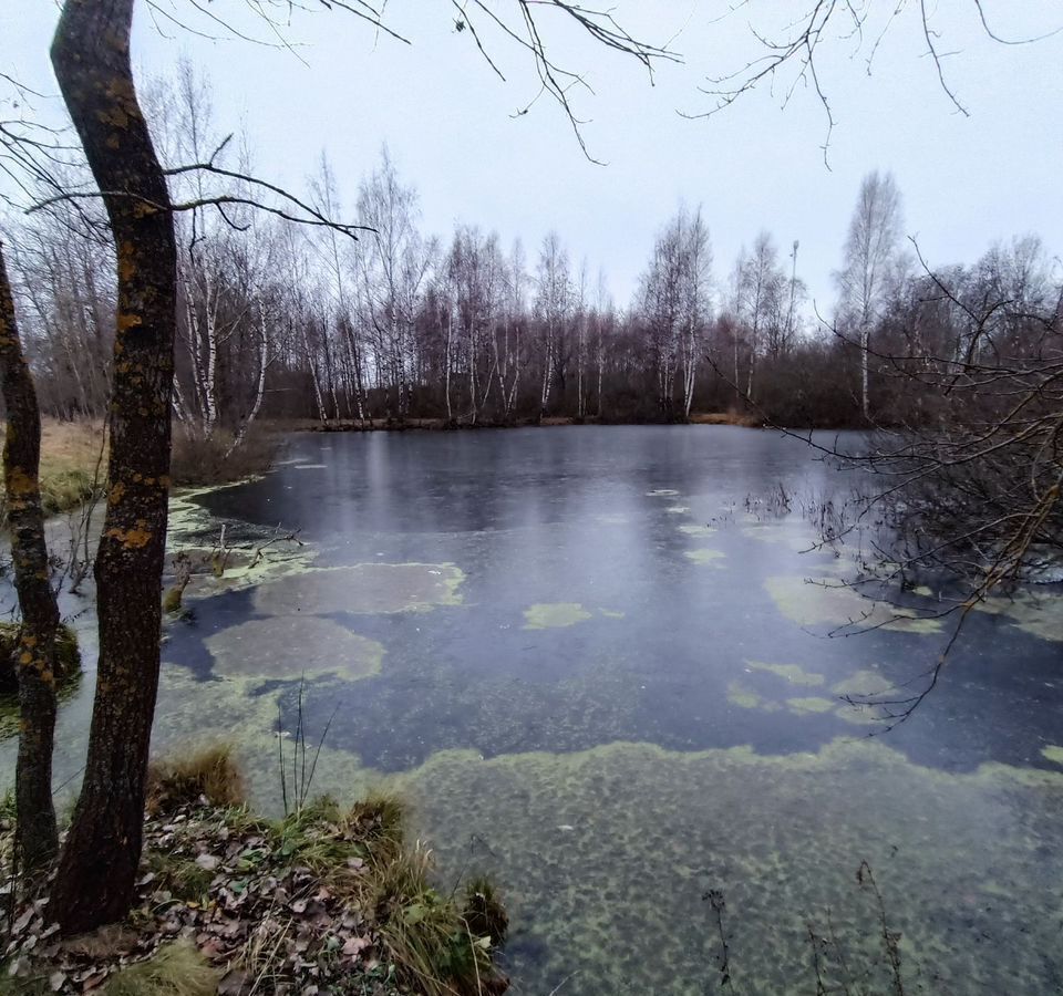 земля городской округ Дмитровский г Яхрома 45 км, коттеджный пос. У сердца Яхромы, Дмитровское шоссе фото 20