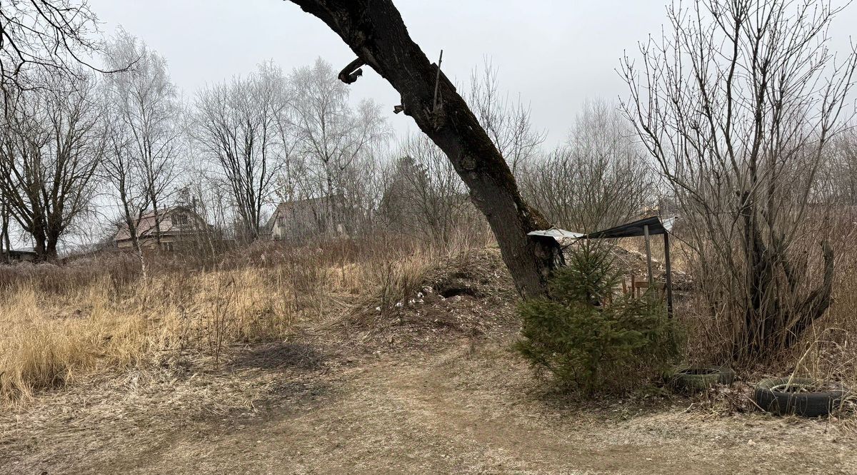 земля городской округ Богородский г Электроугли Железнодорожная, д. Большое Васильево фото 2