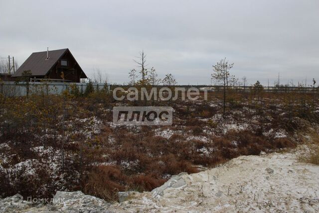 земля Когалым городской округ, СОНТ Садовод 1 фото