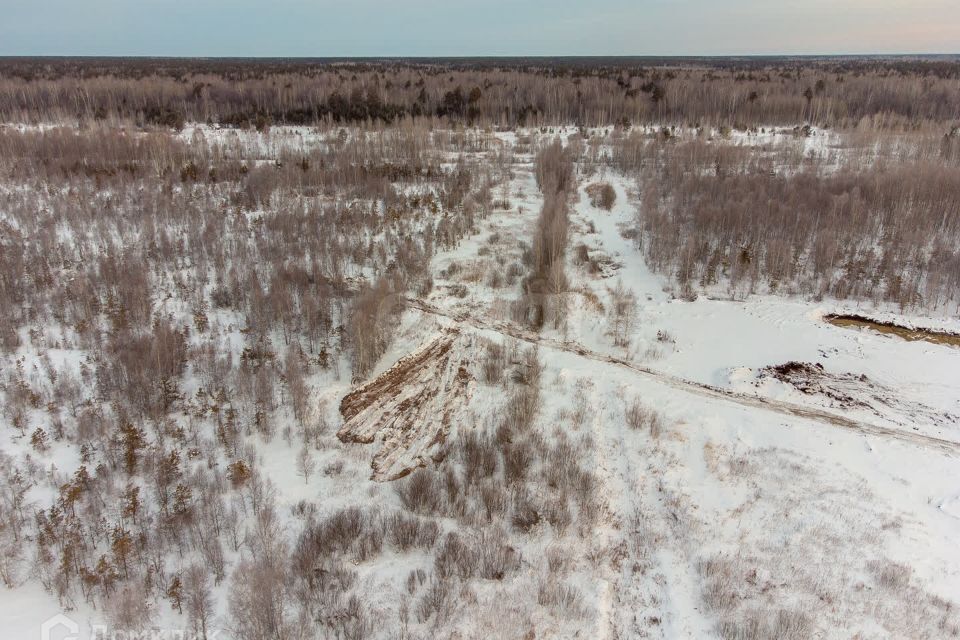 земля г Тюмень Тюмень городской округ, СНТ Облепиховое фото 8