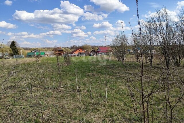 Бебелевский сельсовет, садовое товарищество Строитель фото