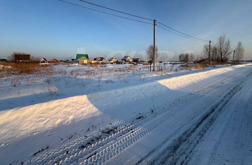 земля р-н Тюменский с Созоново фото 5