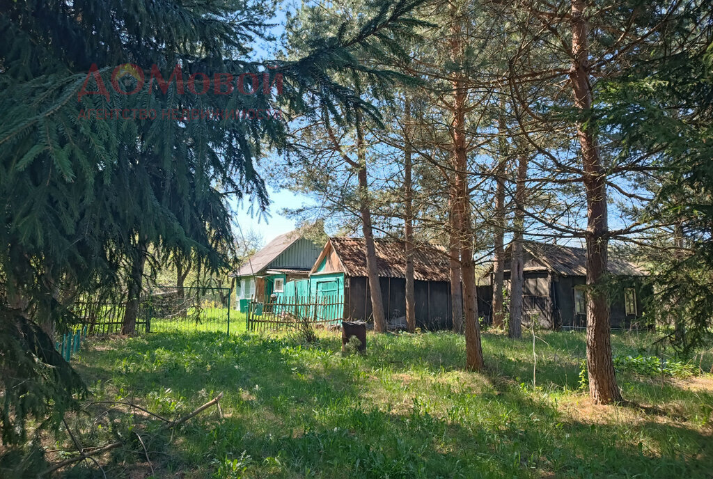 дом р-н Смоленский д Алфимово Смоленский муниципальный округ фото 1