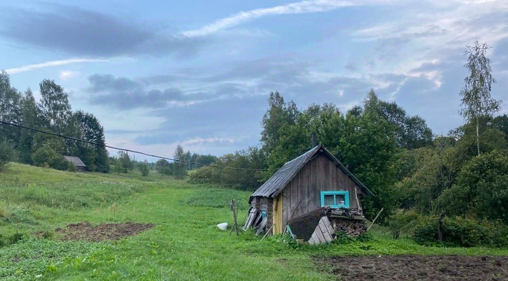 дом р-н Пушкиногорский с Велье Велейская волость фото 3