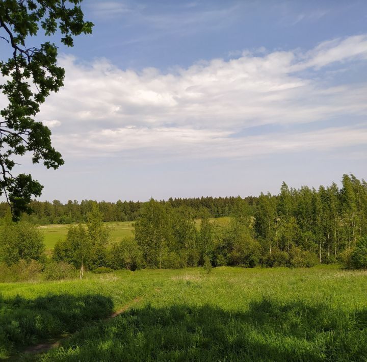 дом р-н Всеволожский п Рахья фото 1