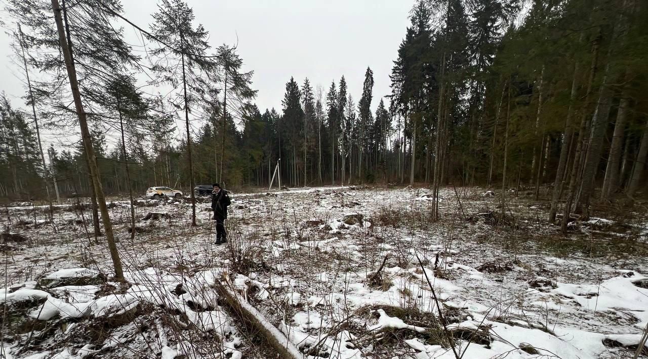 земля городской округ Наро-Фоминский Бархатово Лес дп фото 6