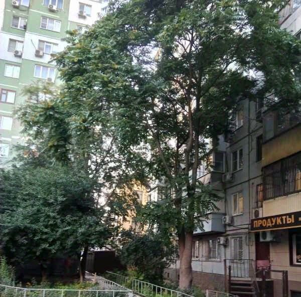 квартира г Ростов-на-Дону р-н Советский ул Малиновского 46 фото 5