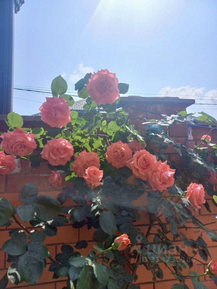 дом г Краснодар ул Офицерская фото 31