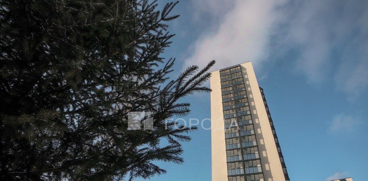 квартира г Новосибирск Заельцовская ул Игарская 5 фото 6
