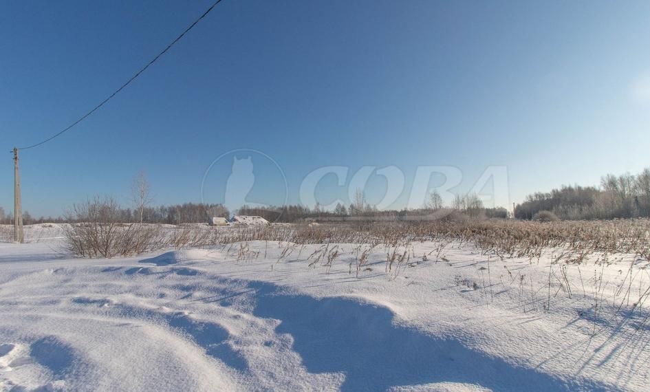 земля р-н Нижнетавдинский снт Нерда Тюмень фото 3