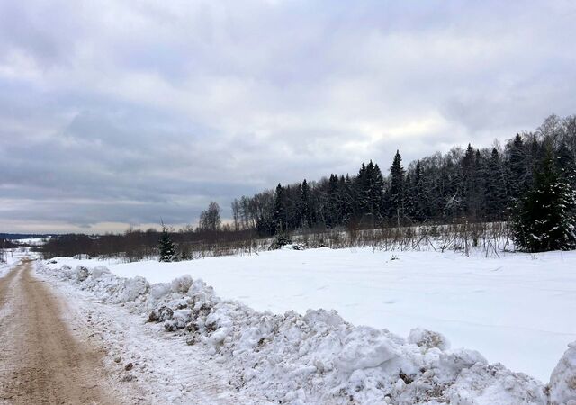 рп Деденево 39 км, коттеджный пос. Ассаурово, Дмитровское шоссе фото