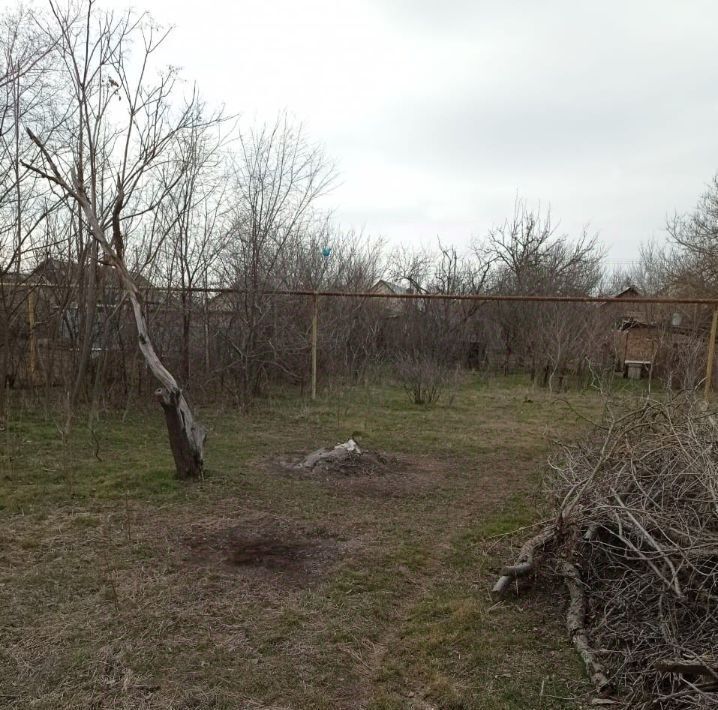 земля р-н Сальский г Сальск Кучур-да ул Чайковского Сальское городское поселение фото 5