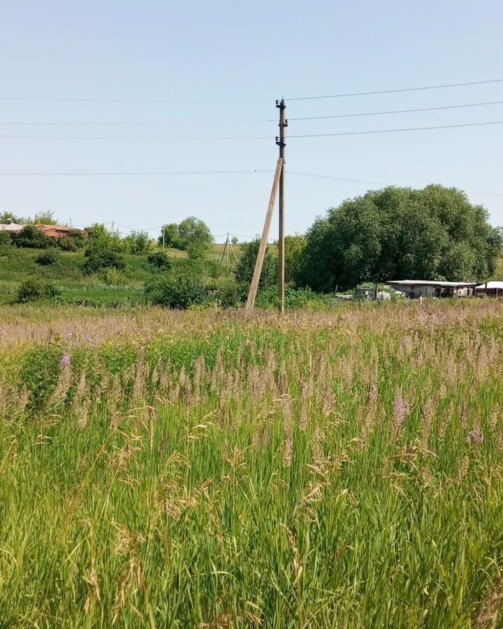 земля городской округ Серебряные Пруды п Дмитриевский 148 км, Серебряные Пруды, Каширское шоссе фото 10