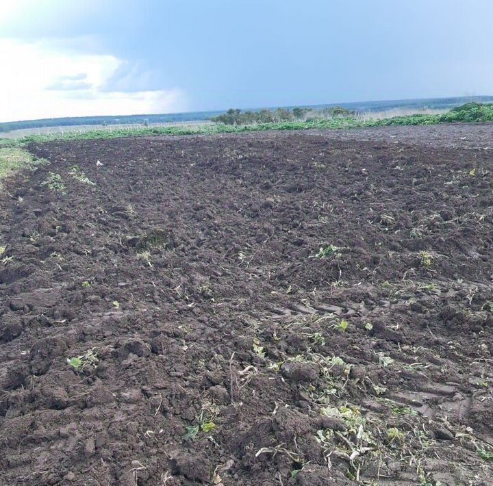 земля р-н Козельский с Попелево ул Молодежная фото 3