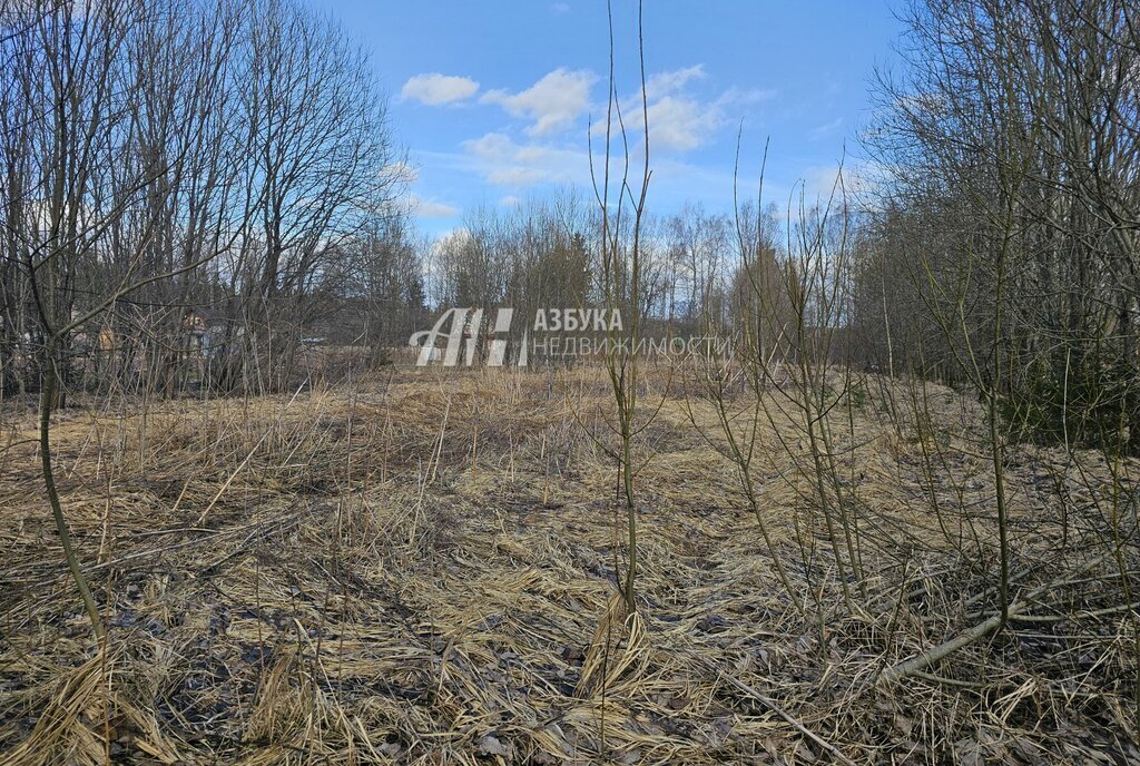 земля городской округ Рузский д Новокурово фото 2