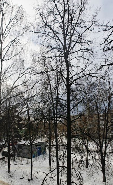 квартира г Дзержинск пр-кт Циолковского 17а фото 13