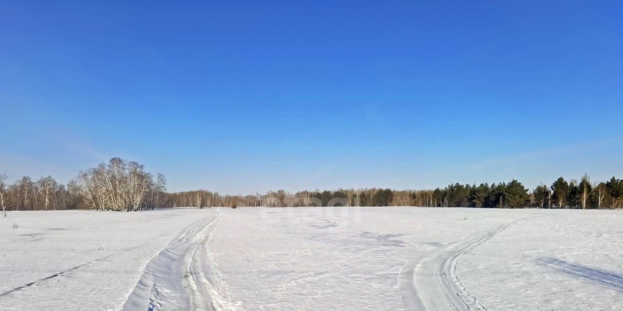 земля р-н Омский д Бородинка ул Центральная 78 Петровское с/пос фото 17