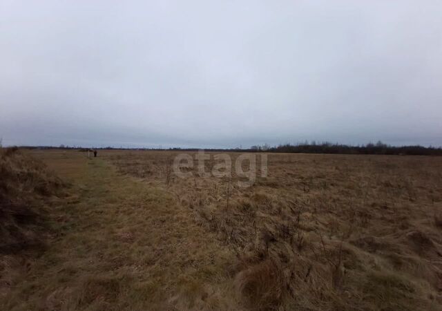 р-н Псковский д Дуброво пер Хуторской Псков, Логозовская волость фото