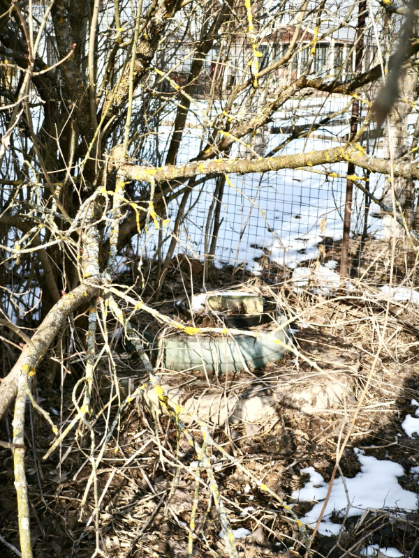 дом городской округ Солнечногорск д Мошницы ул Ключевая Ленинградское фото 21