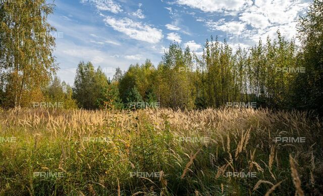 земля д Покровское Павловская Слобода, 9747 км, Волоколамское шоссе фото