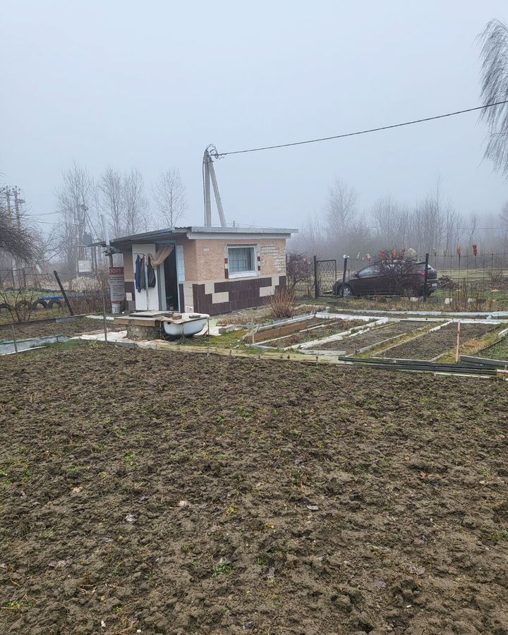 земля р-н Зеленоградский п Ольшанка Светлогорск, Зеленоградский муниципальный округ фото 17