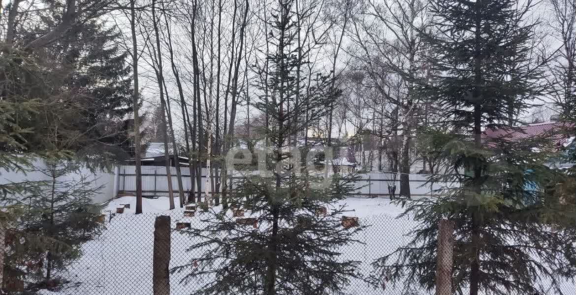 земля городской округ Наро-Фоминский г Апрелевка 29 км, ул. 1-я линия, садоводческое некоммерческое товарищество Дачное, Киевское шоссе фото 4