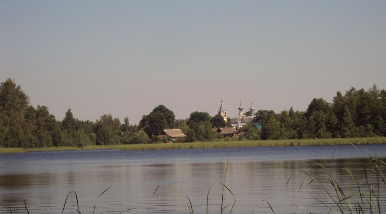 дом р-н Пушкиногорский с Велье ул Центральная Велейская волость фото 12