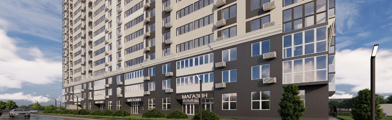 квартира г Самара р-н Ленинский Московская Король Лев жилой комплекс фото 16