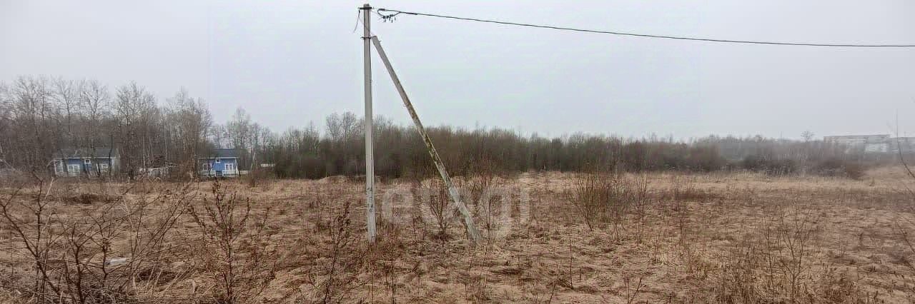 земля р-н Боровский д Комлево Совхоз Боровский с пос фото 2