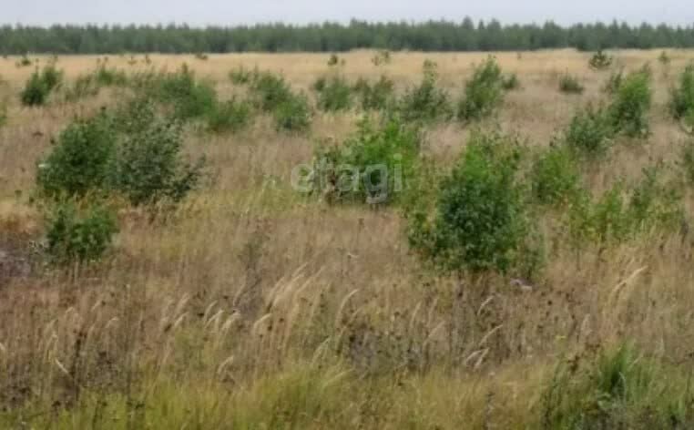 земля р-н Новооскольский г Новый Оскол ул Центральная фото 2