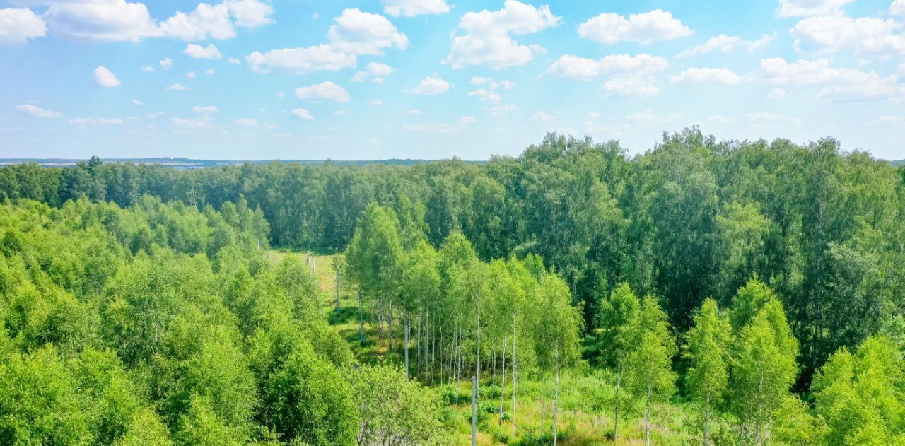 земля г Домодедово д Ивановка Лесной остров кп, 100 фото 1