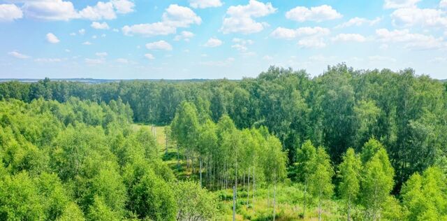 д Ивановка Лесной остров кп, 100 фото