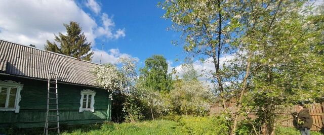 Вырица городской поселок фото