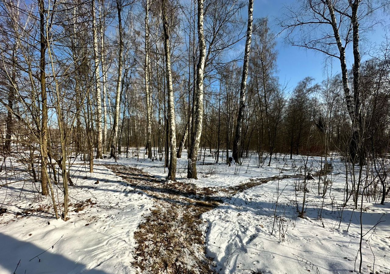 земля городской округ Одинцовский г Звенигород 33 км, Ильинское шоссе фото 3