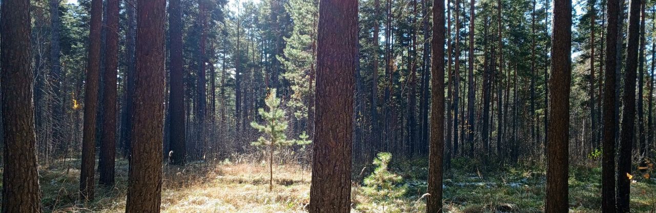дом р-н Крутихинский с Долганка ул Заречная фото 27