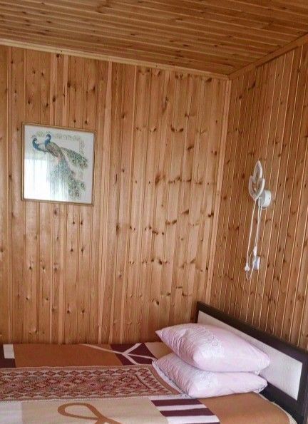 дом р-н Крутихинский с Долганка ул Заречная фото 41