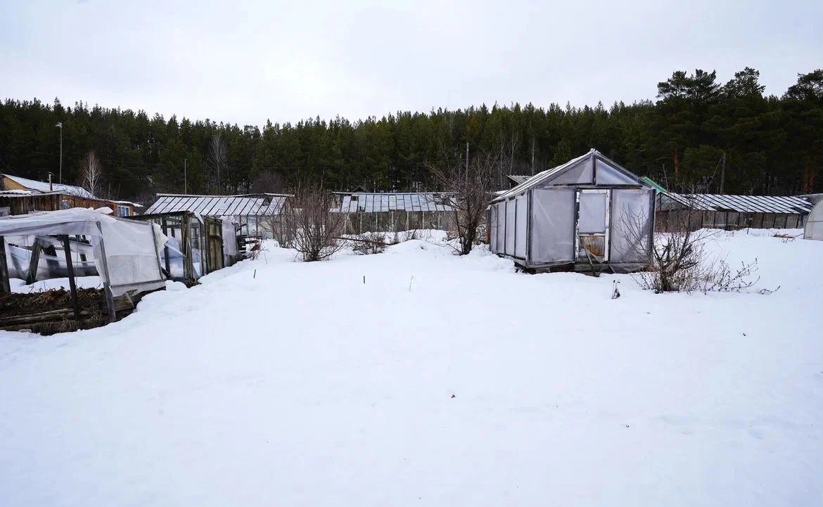 дом г Верхний Уфалей Верхнеуфалейский г. о., сад Никельщик фото 15