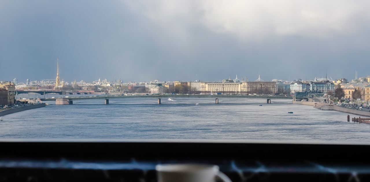 квартира г Санкт-Петербург метро Чернышевская наб Воскресенская 4 фото 49