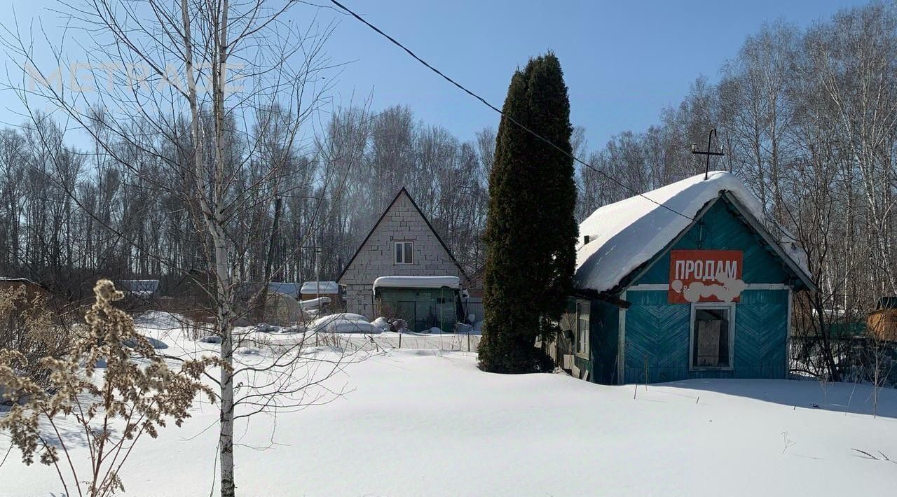 земля г Новосибирск Берёзовая роща снт Садовод-Мичуринец 112 фото 4