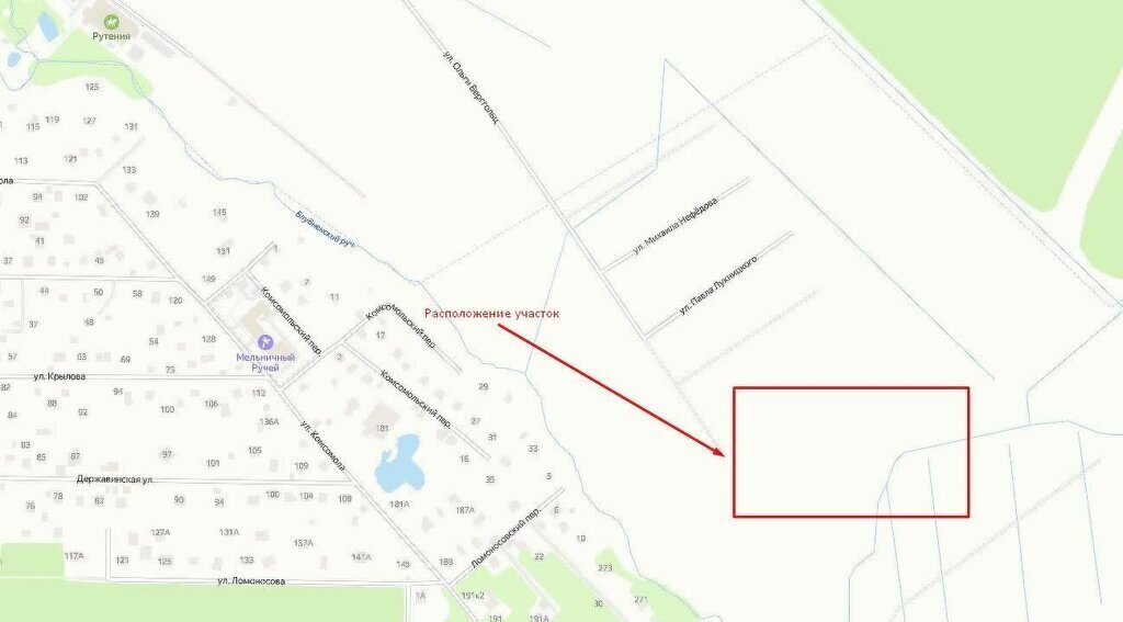 земля р-н Всеволожский г Всеволожск ул Николая Брауна фото 2