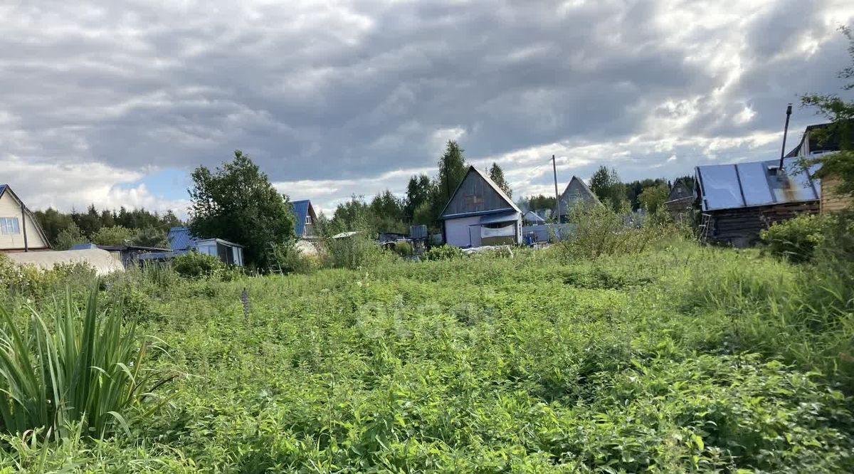 земля г Сыктывкар Эжвинский Парма-3 СНТ, проезд 6-й фото 4