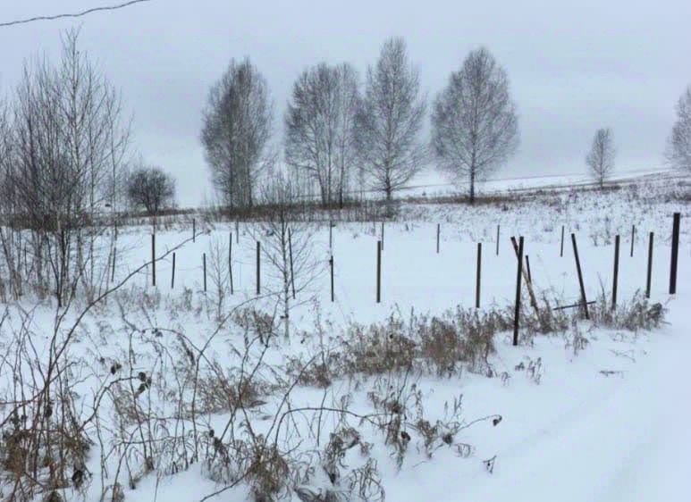 земля г Прокопьевск р-н Рудничный ул Макарова фото 1